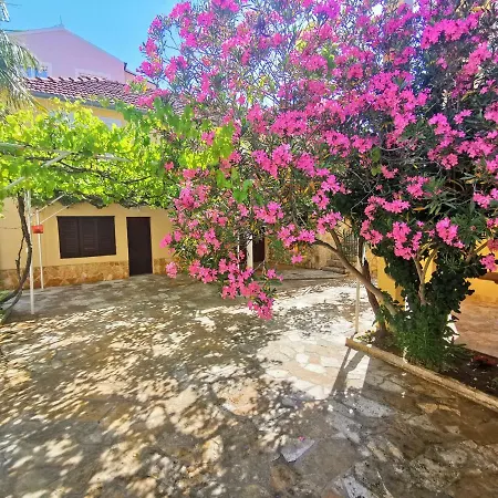 Green Garden Vodice
